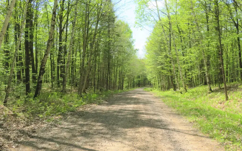 Eastwood, a Forest Service campground