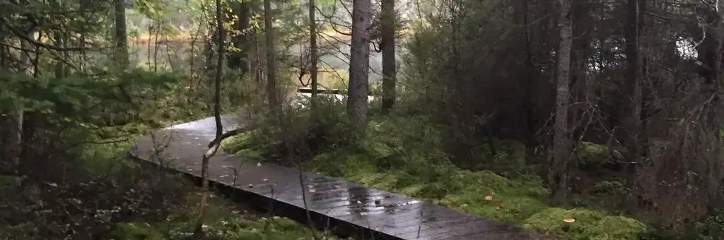 Twin Lakes, a Forest Service campground