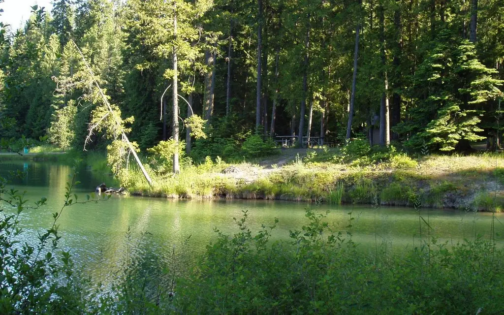 Albeni Cove, an Army Corps campground
