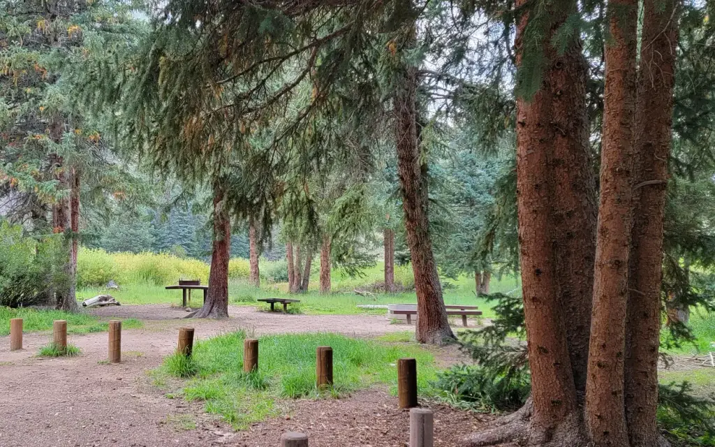 Chute Group, a Forest Service group camp
