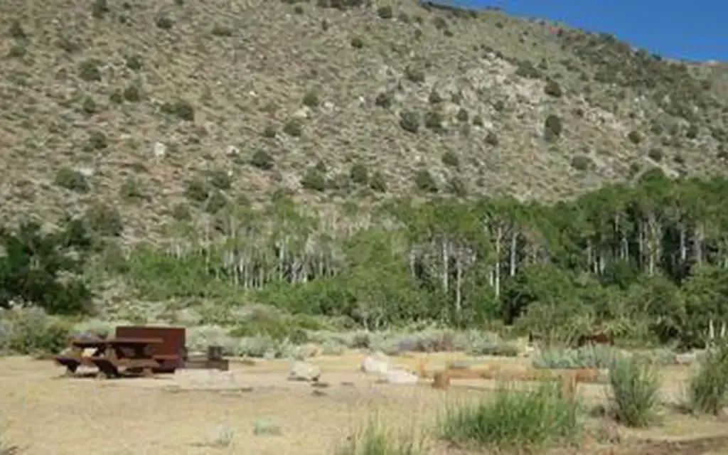 Four Jeffrey, a Forest Service campground