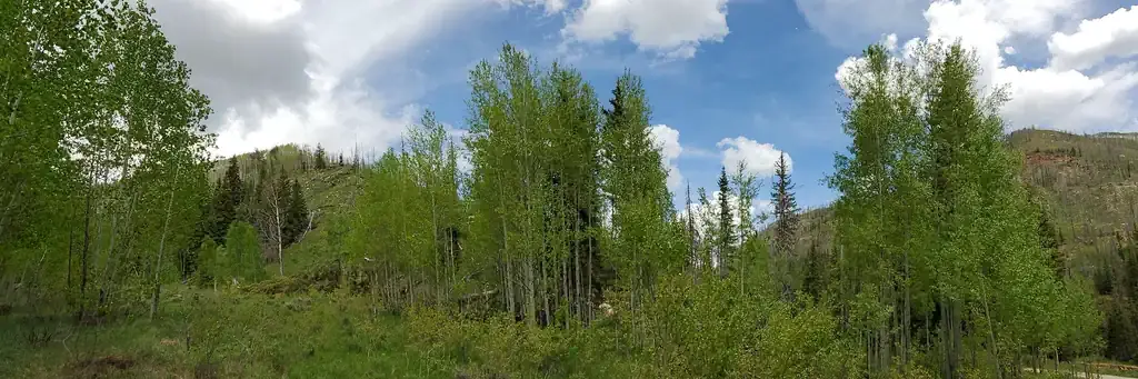 Bridges Campground, a Forest Service campground