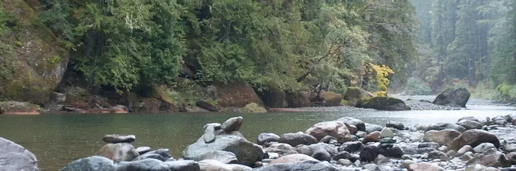 La Wis Wis Campground, a Forest Service campground
