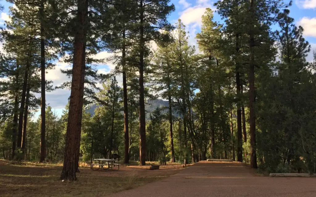 Sharp Creek, a Forest Service campground