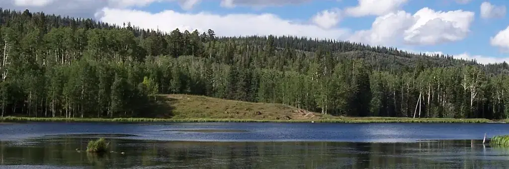 Barker Recreation Area, a Forest Service campground