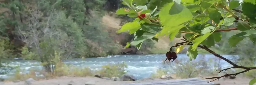 Hause Creek Campground, a Forest Service campground