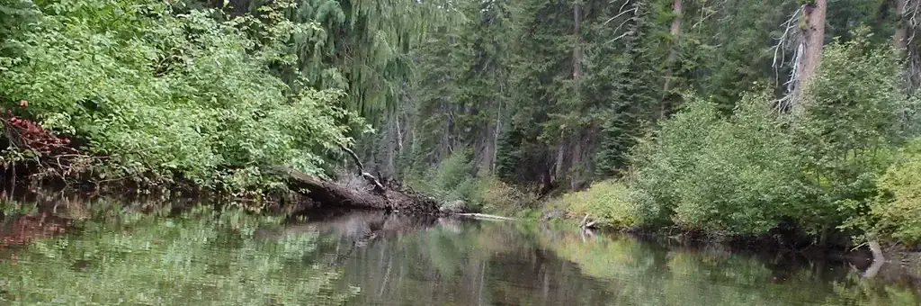 Pleasant Valley Campground, a Forest Service campground