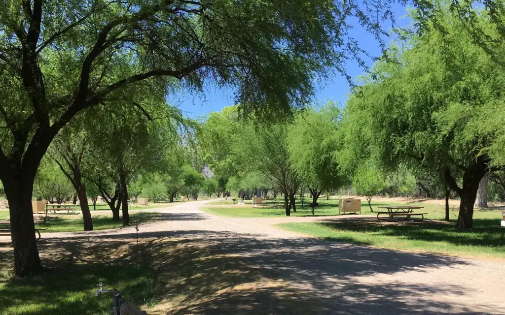 Cottonwood, a National Park Service campground