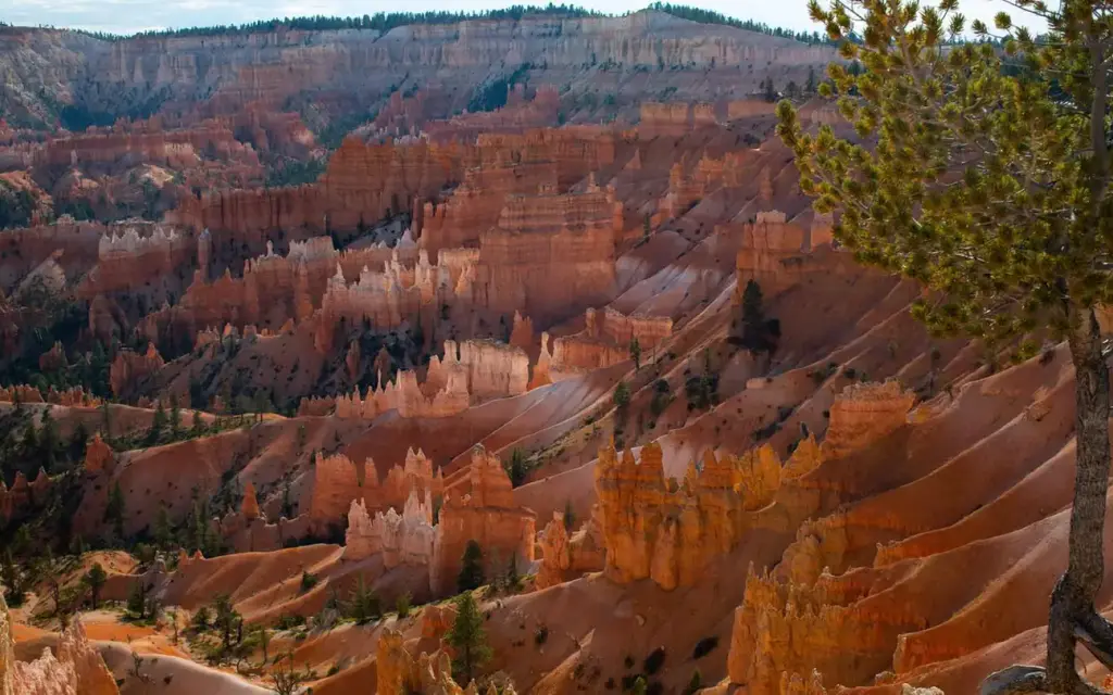 Sunset Campground, a National Park Service campground