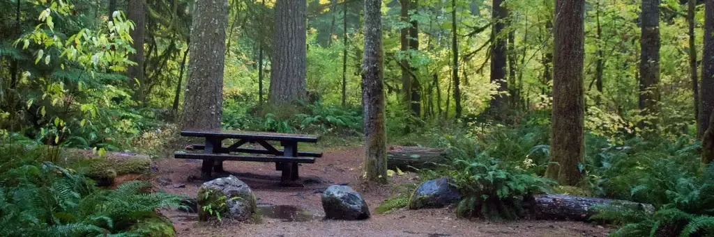 Big Creek, a Forest Service campground