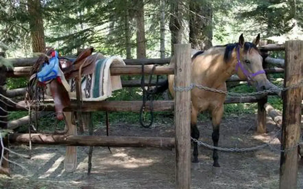 Willow Prairie Horsecamp, a Forest Service campground