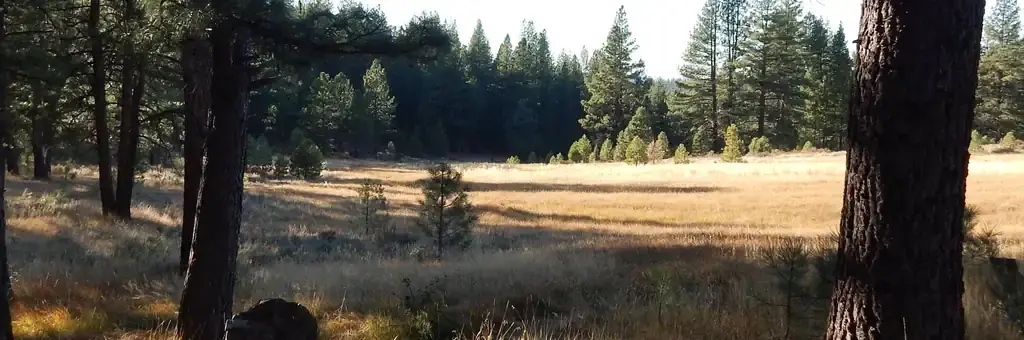Boca Spring, a Forest Service campground