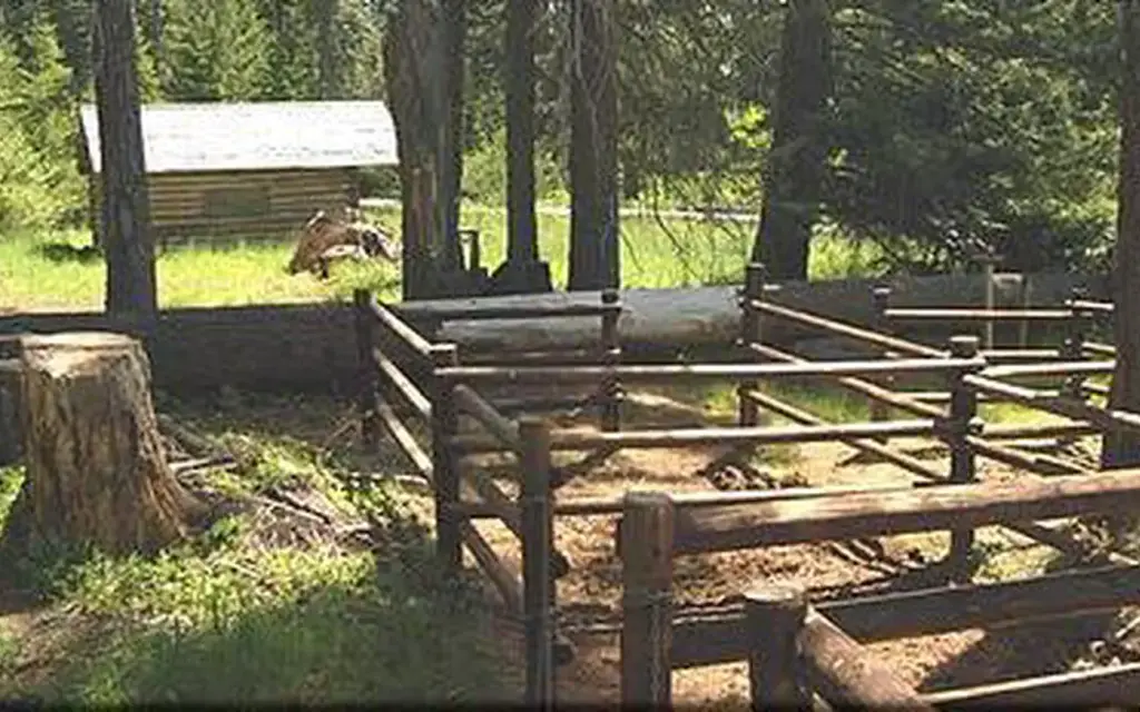 Willow Prairie Cabin, a Forest Service cabin rental