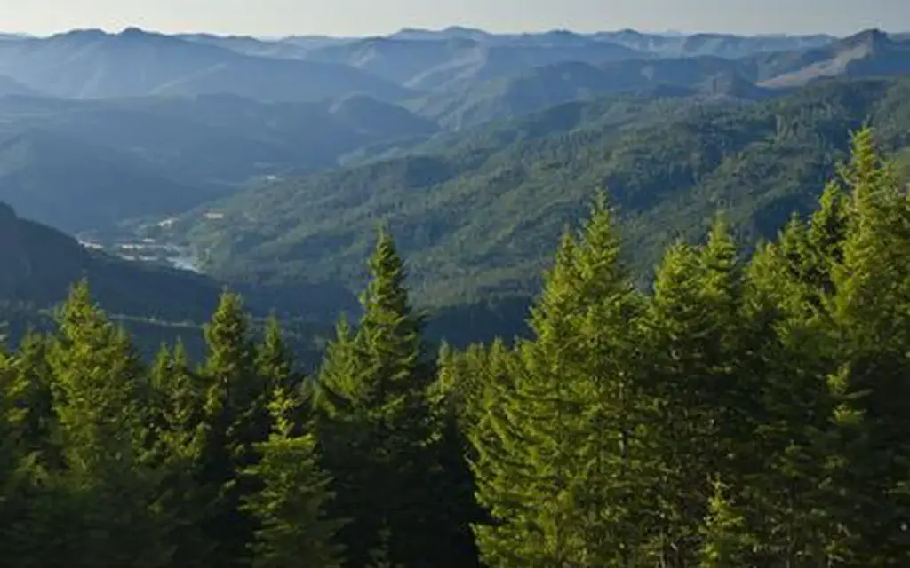 Lake of the Woods Lookout, a Forest Service cabin rental