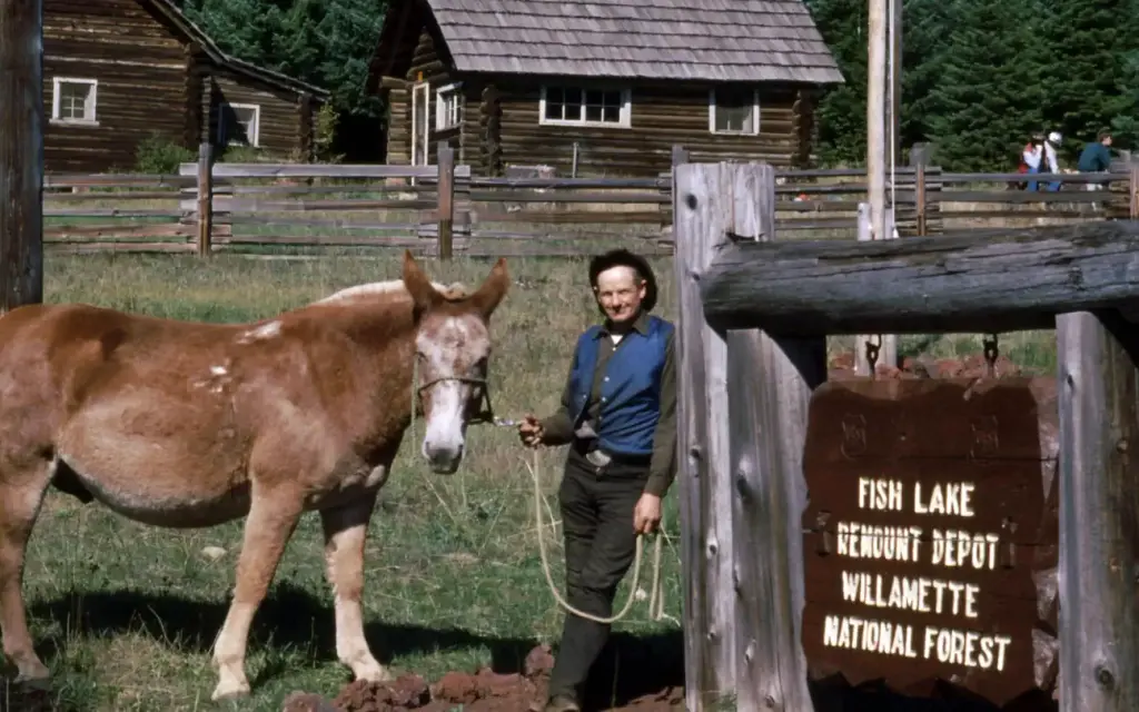 Fish Lake Remount Depot Cabins, a Forest Service cabin rental