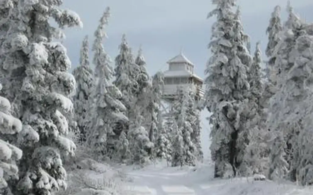 Warner Mountain Lookout, a Forest Service cabin rental