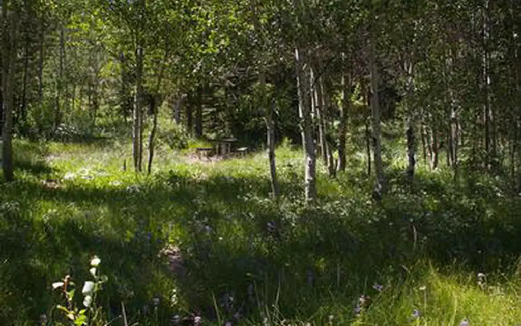 Lower Penstemon, a Forest Service campground