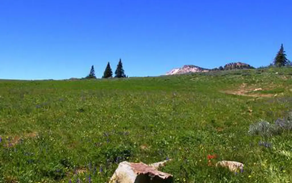 Thompson Flat, a Forest Service campground