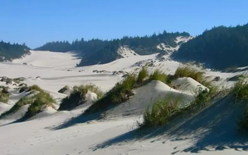 Umpqua Sand Camping, a Forest Service campground