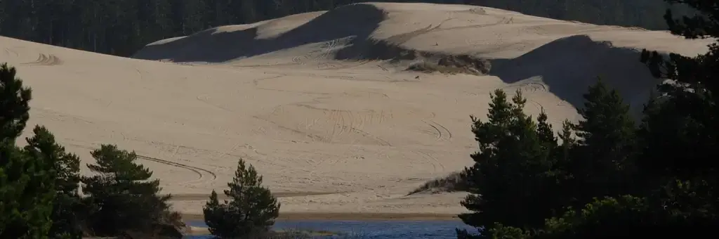 Spinreel Sand Camping, a Forest Service campground