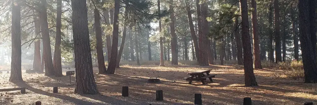 Prosser Family, a Forest Service campground