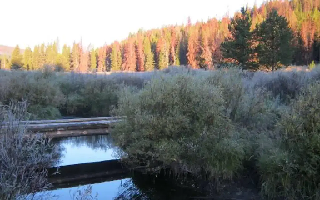 May Creek Cabin, a Forest Service cabin rental