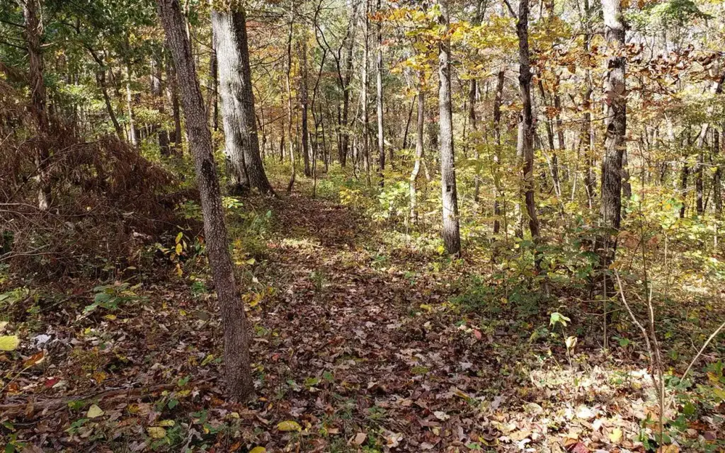 Pulltite, a National Park Service campground