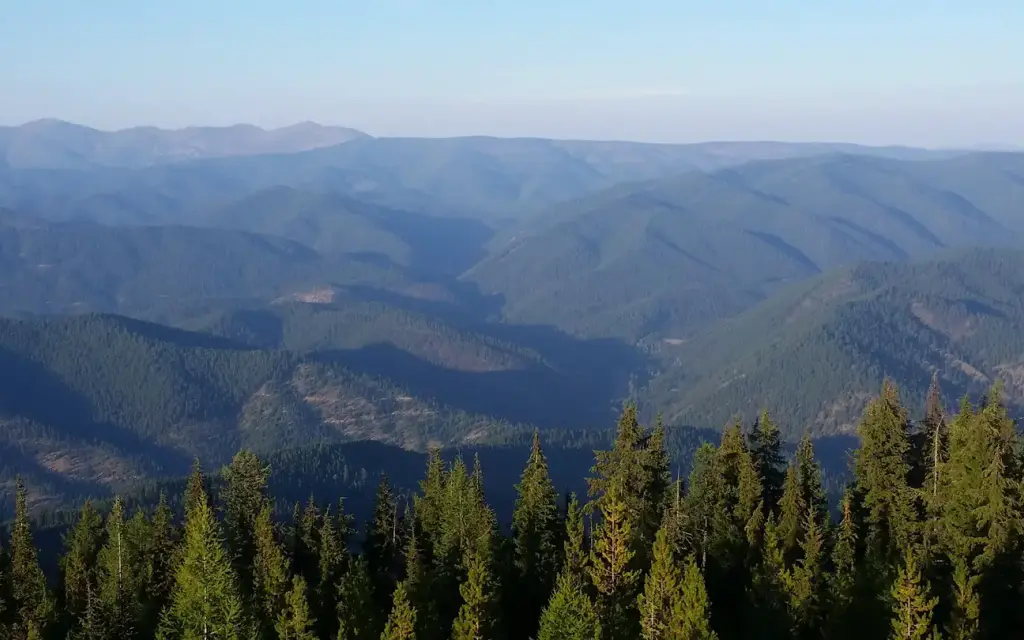 Up Up Lookout, a Forest Service cabin rental