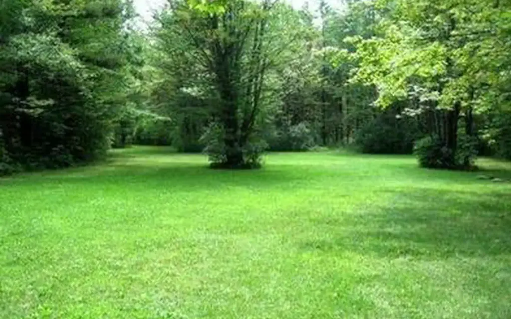 Potomac Group Campground, a Forest Service group camp