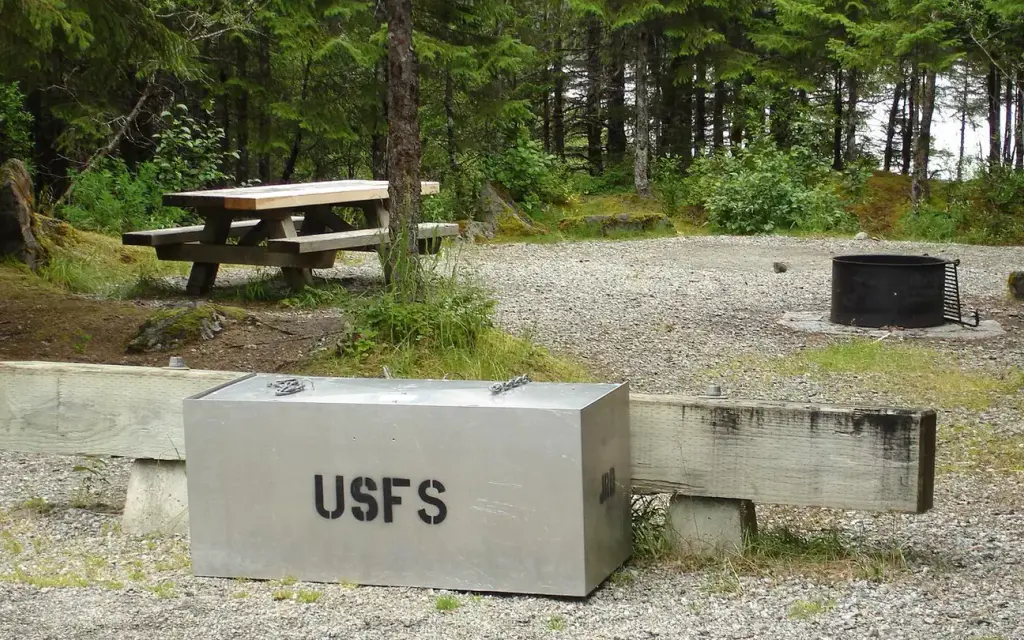 Mendenhall Campground, a Forest Service campground