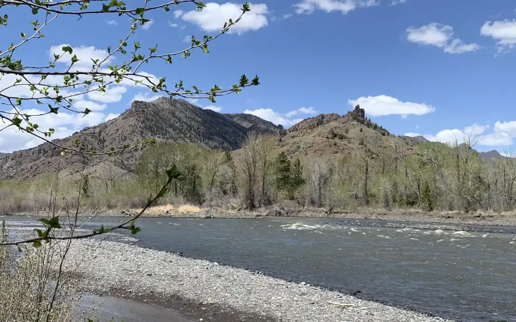 Wapiti Campground, a Forest Service campground