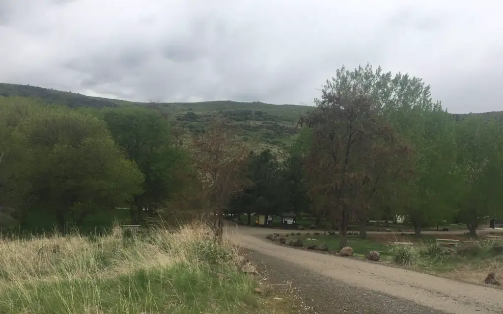 Mann Creek Campground, a Forest Service campground