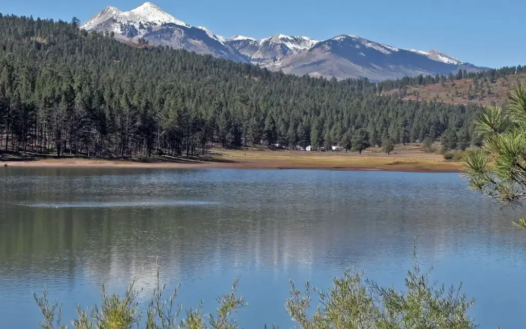 Buckeye Recreation Area, a Forest Service campground