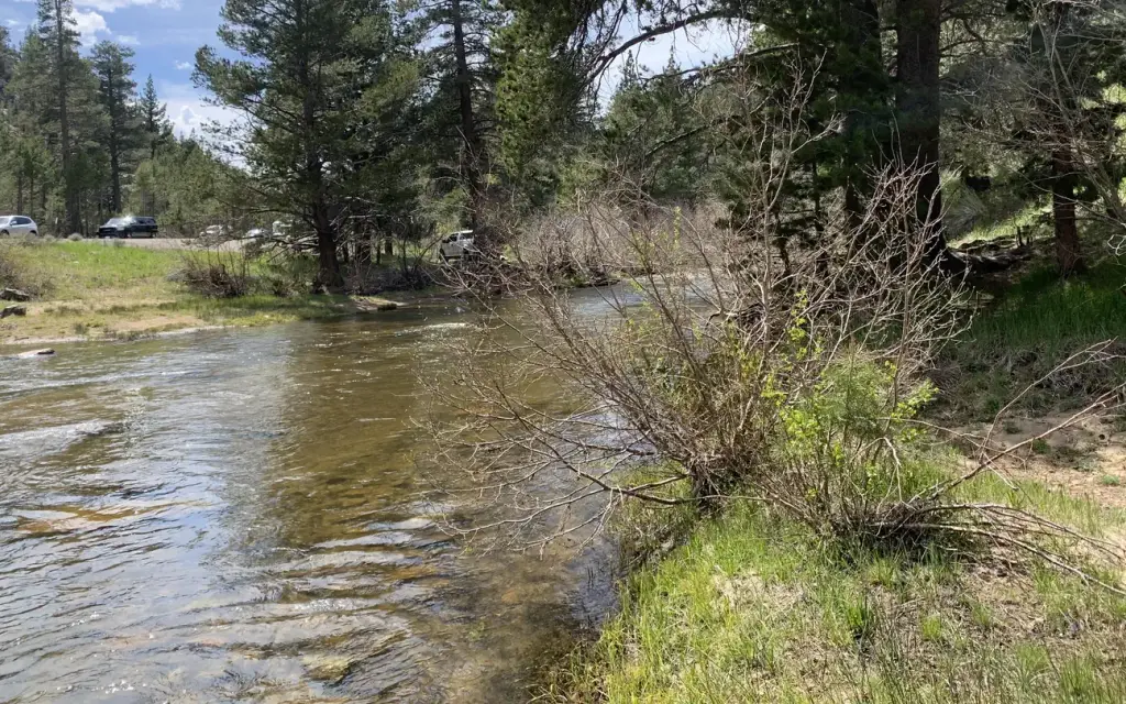 Kit Carson Campground, a Forest Service campground