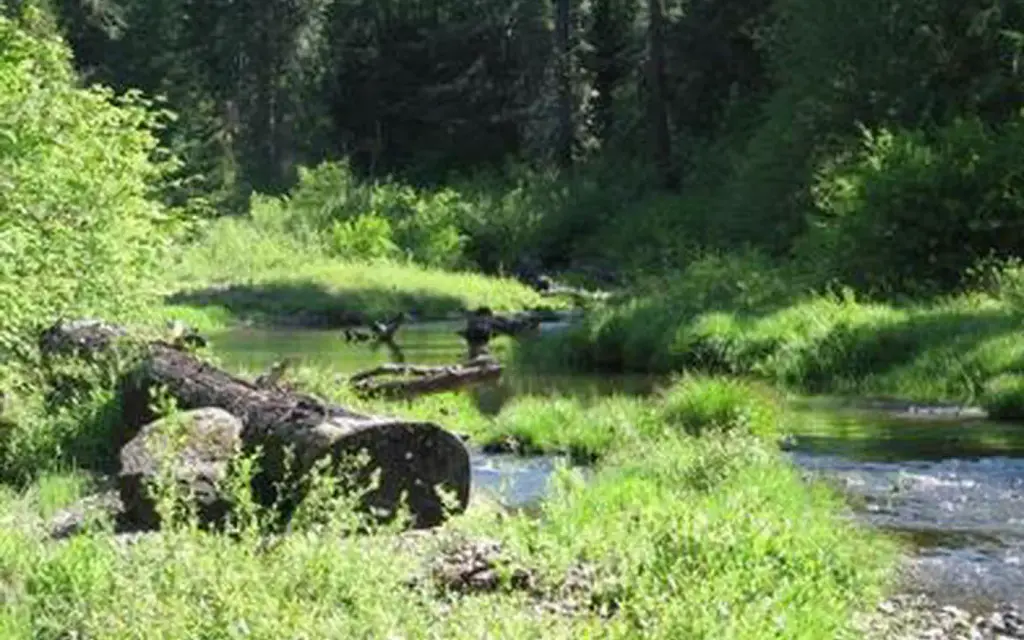 Jim Creek Group Campground, a Forest Service group camp