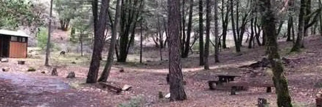 Hayden Flat Group Campground, a Forest Service group camp