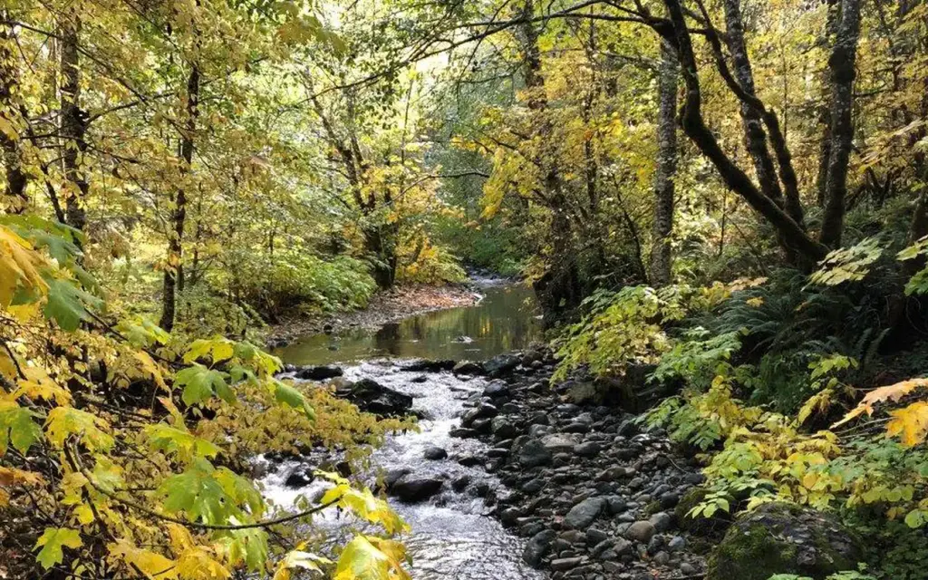 East Fork Campground – Six Rivers NF, a Forest Service group camp