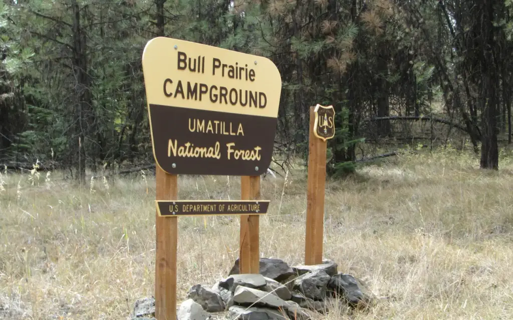 Bull Prairie Campground, a Forest Service campground