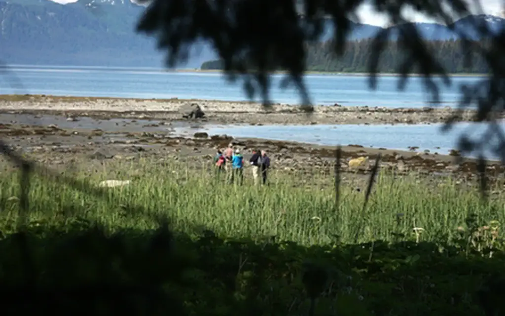Bartlett Cove Campground, a National Park Service campground