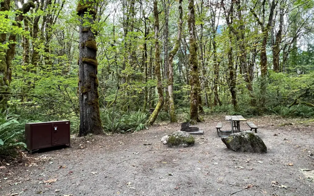 Goodell Creek Campground, a National Park Service campground