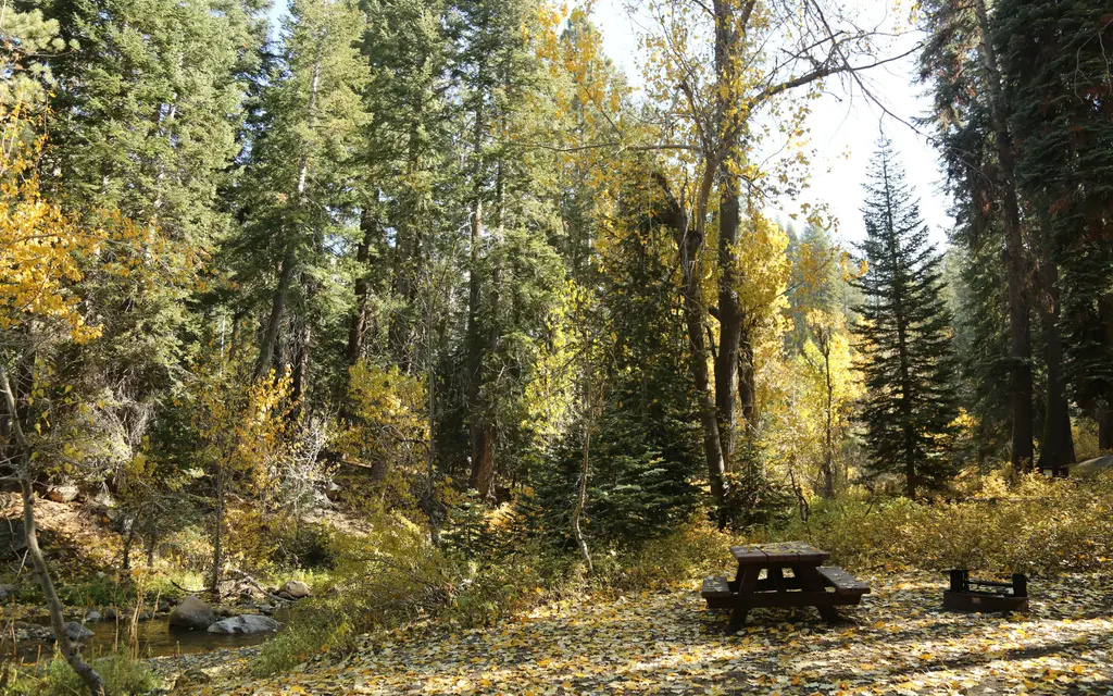 Cold Springs Campground, a National Park Service campground