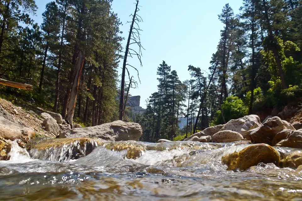 Black Canyon Campground, a National Park Service campground