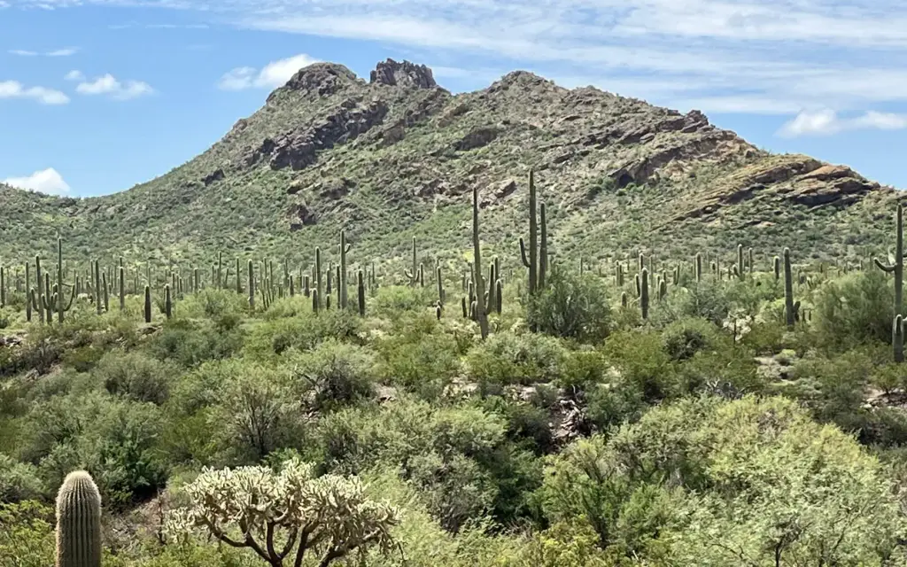 Alamo Canyon Primitive Campground, a National Park Service campground