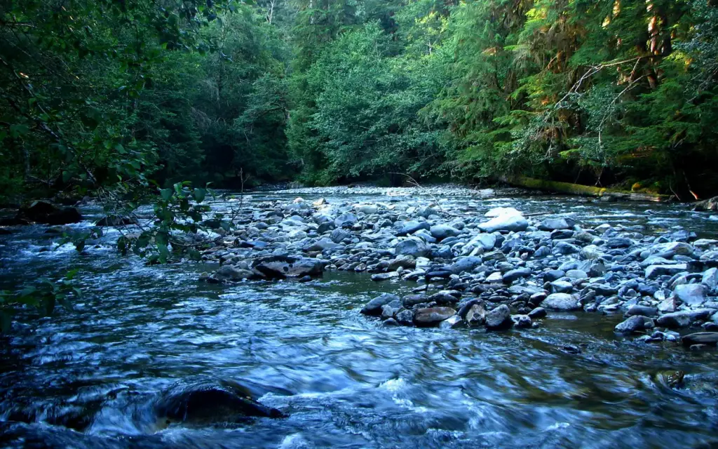 Staircase Campground, a National Park Service campground
