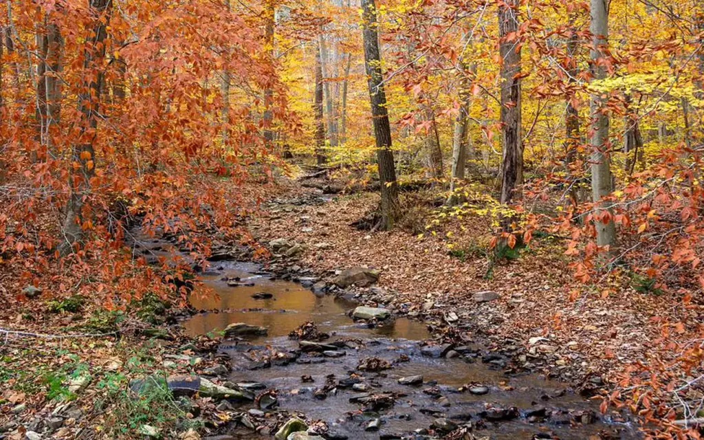 Owens Creek Campground, a National Park Service campground