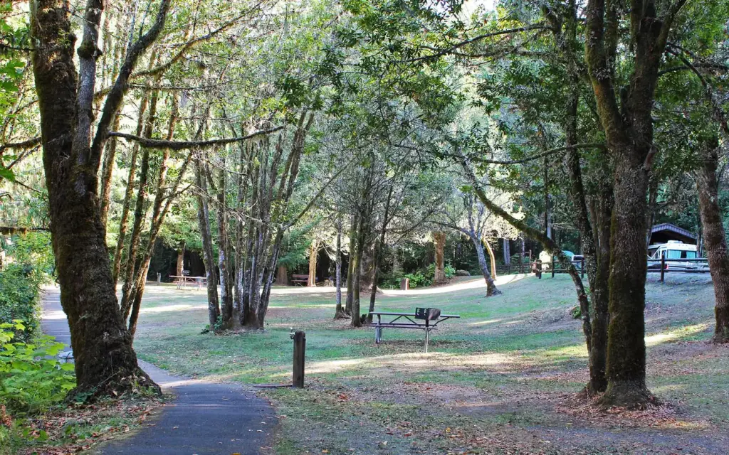 Tyee Campground - Umpqua River, a BLM campground