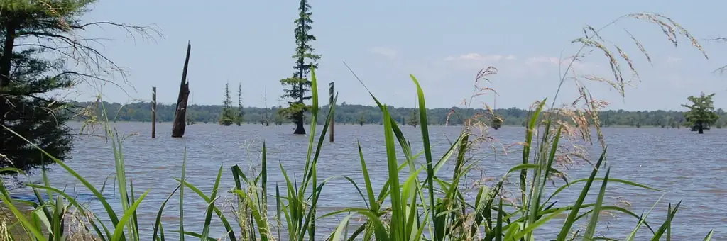 Cottonshed Park, an Army Corps campground
