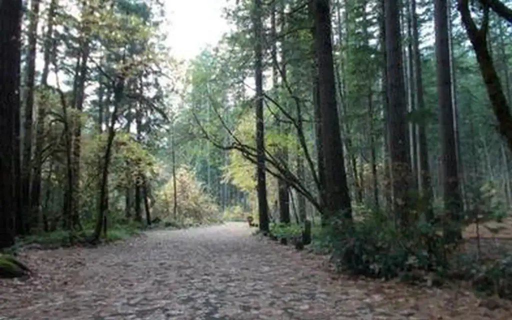 Bogus Creek Campground, a Forest Service campground