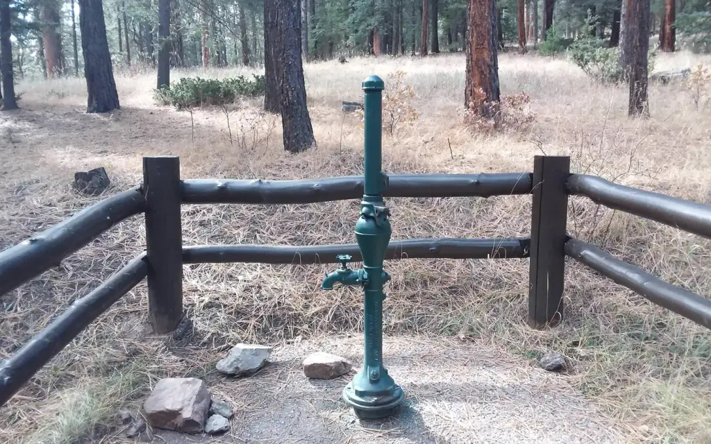 Rio De Las Vacas Campground, a Forest Service campground
