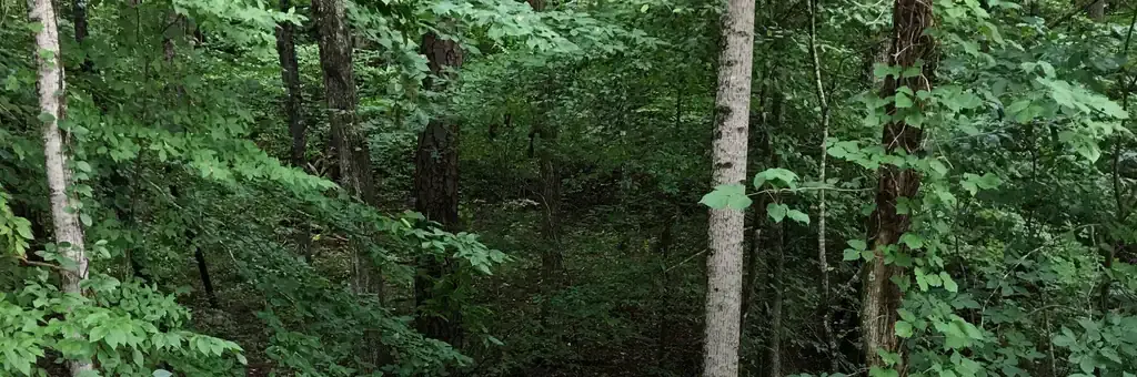 Parksville Lake RV Campground, a Forest Service campground